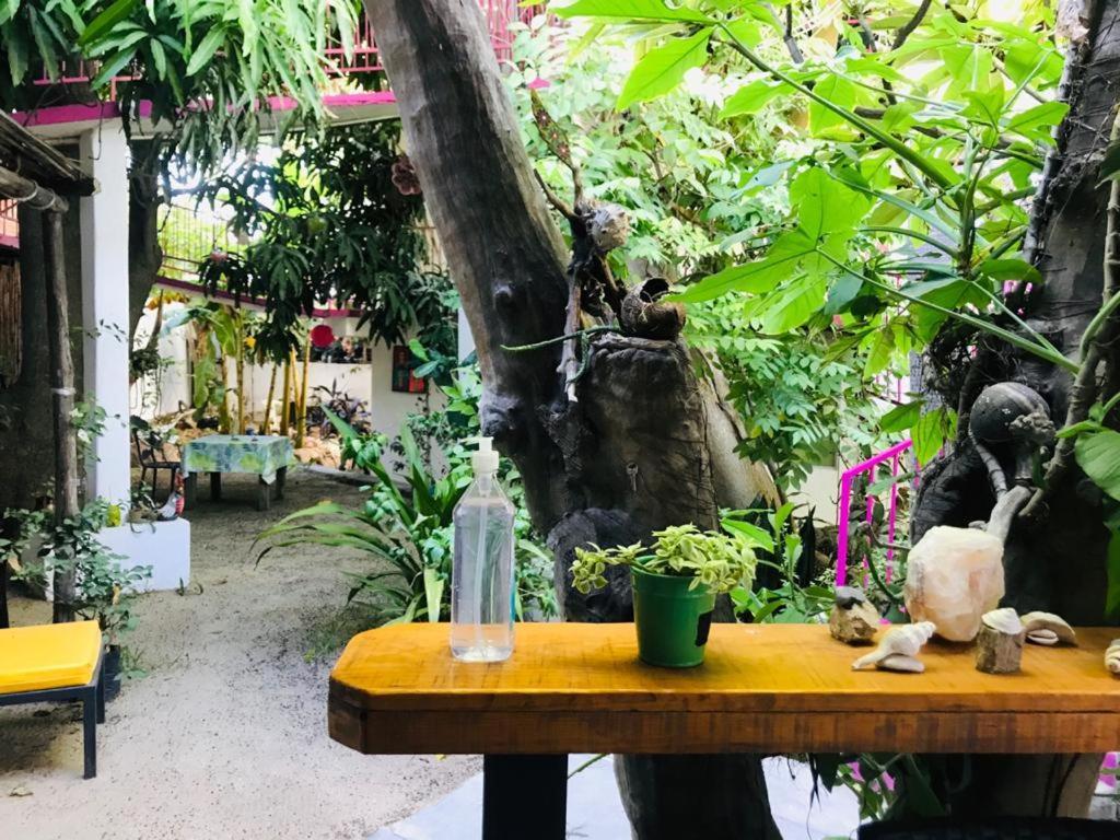 Hotel Posada Senor Manana ซานโฮเซ เดล กาโบ ภายนอก รูปภาพ