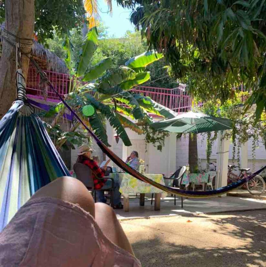 Hotel Posada Senor Manana ซานโฮเซ เดล กาโบ ภายนอก รูปภาพ